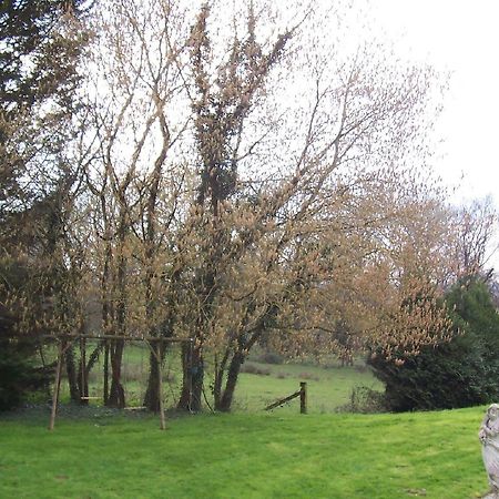 Chateau Champigny Bed and Breakfast Maillet  Exterior foto
