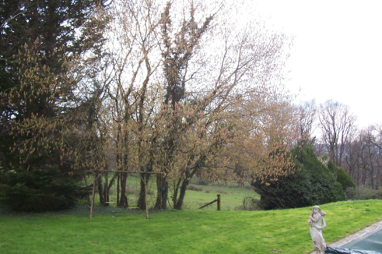 Chateau Champigny Bed and Breakfast Maillet  Exterior foto